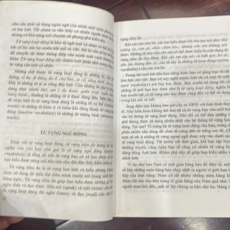 Học tiếng anh có hiệu quả : thạc sĩ Nguyễn Thơ Sinh - study english effectively 1034910