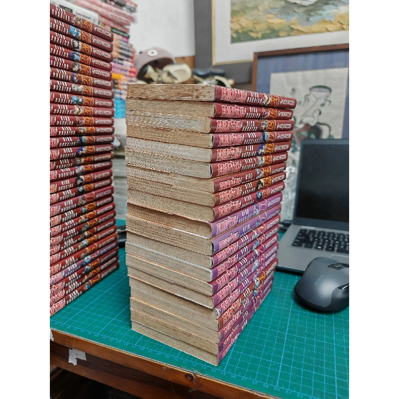 TRUYỆN TRANH FAIRY TAIL ( FULL / LẺ ) 386663