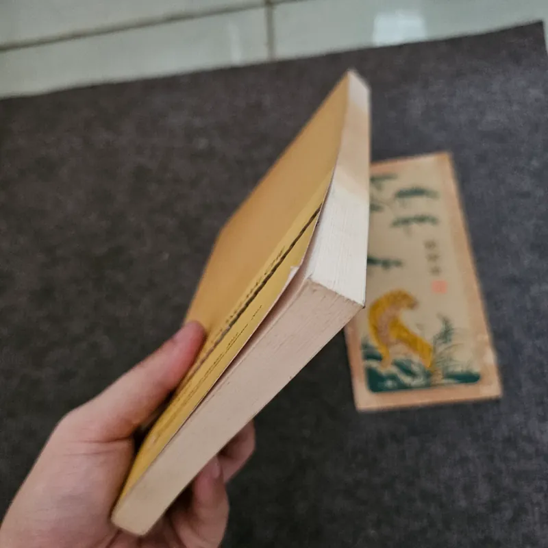 Bầu trời không mái che - có chữ ký Mai Văn Phấn  736890