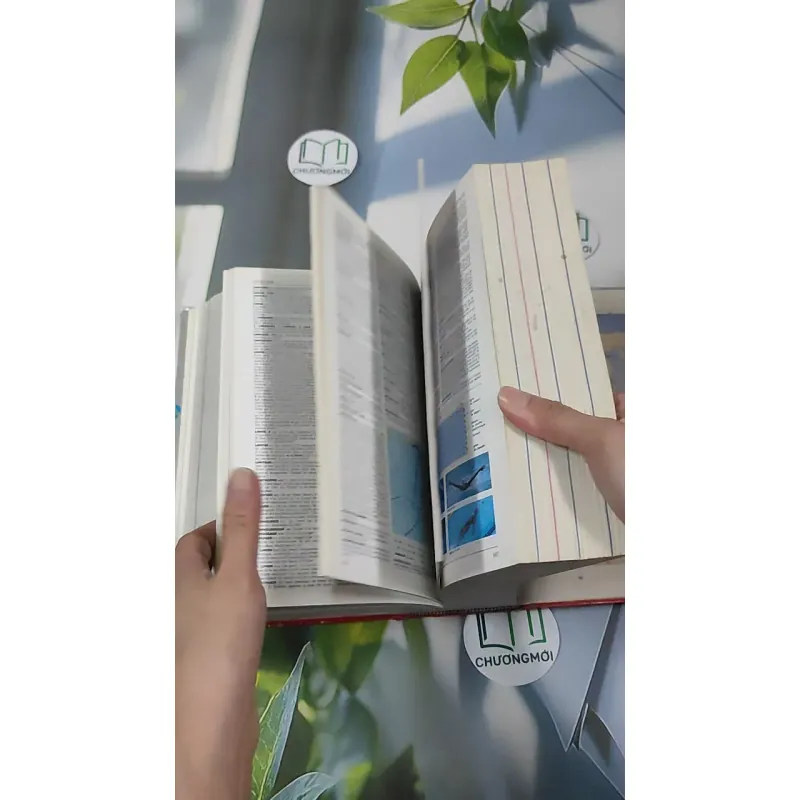 [MIỄN PHÍ BỌC SÁCH] Le Petit Larousse Illustré 2001 990523