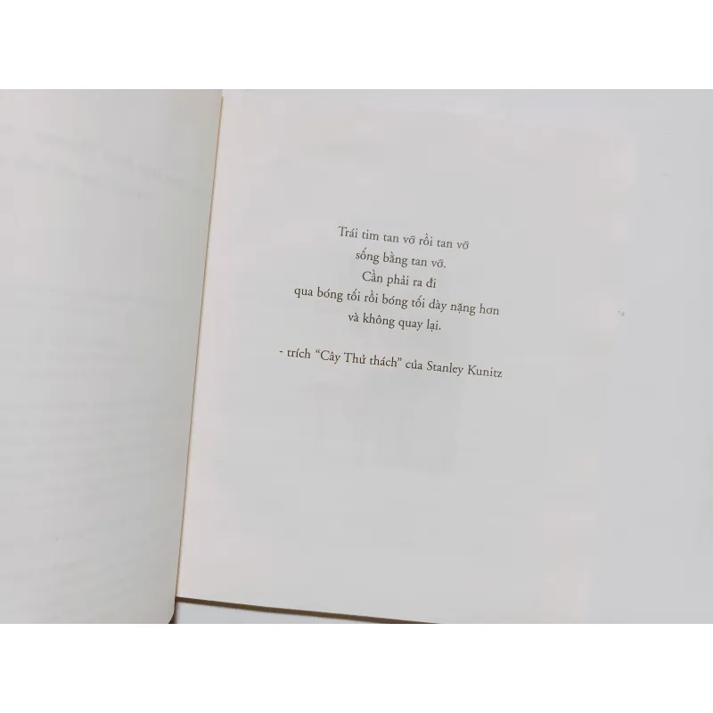 Chuyến Phiêu Lưu Diệu Kỳ Của Edward Tulane - Kate DiCamillo 973845