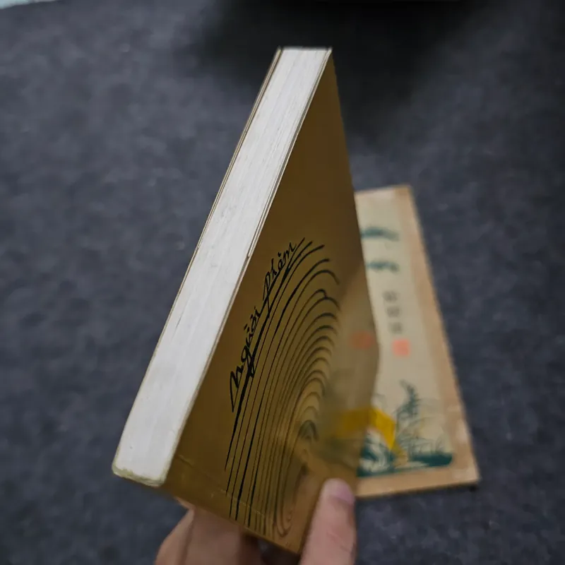 Người phàm - Philip Roth 734023