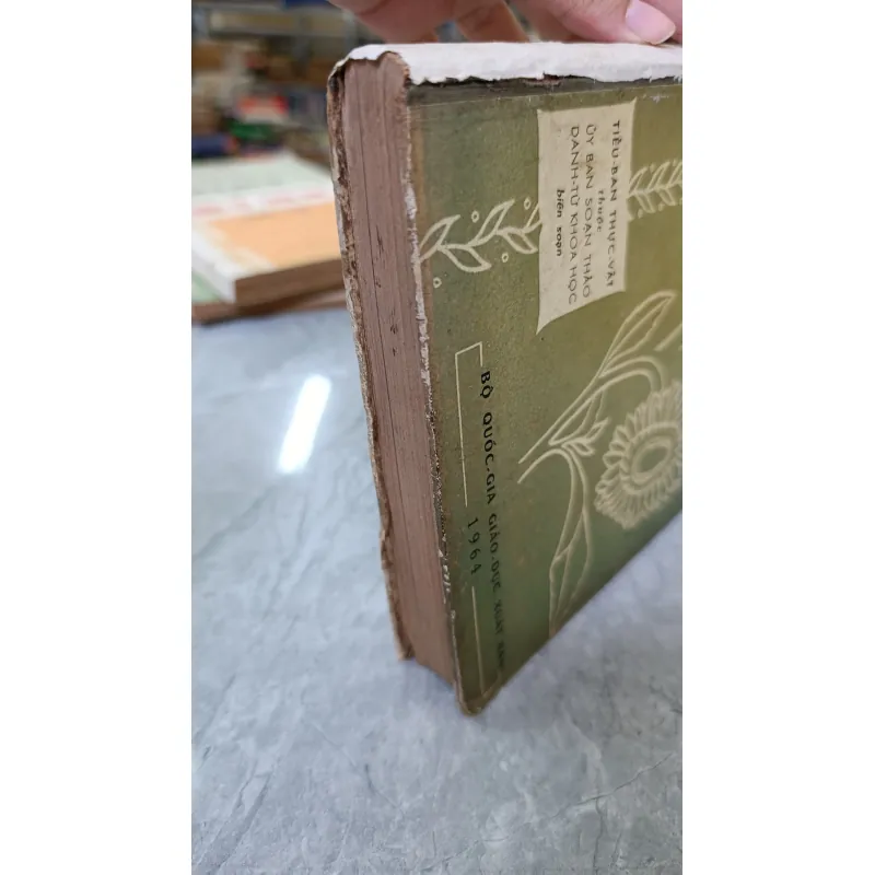 DANH TỪ THỰC VẬT PHÁP VIỆT 749478