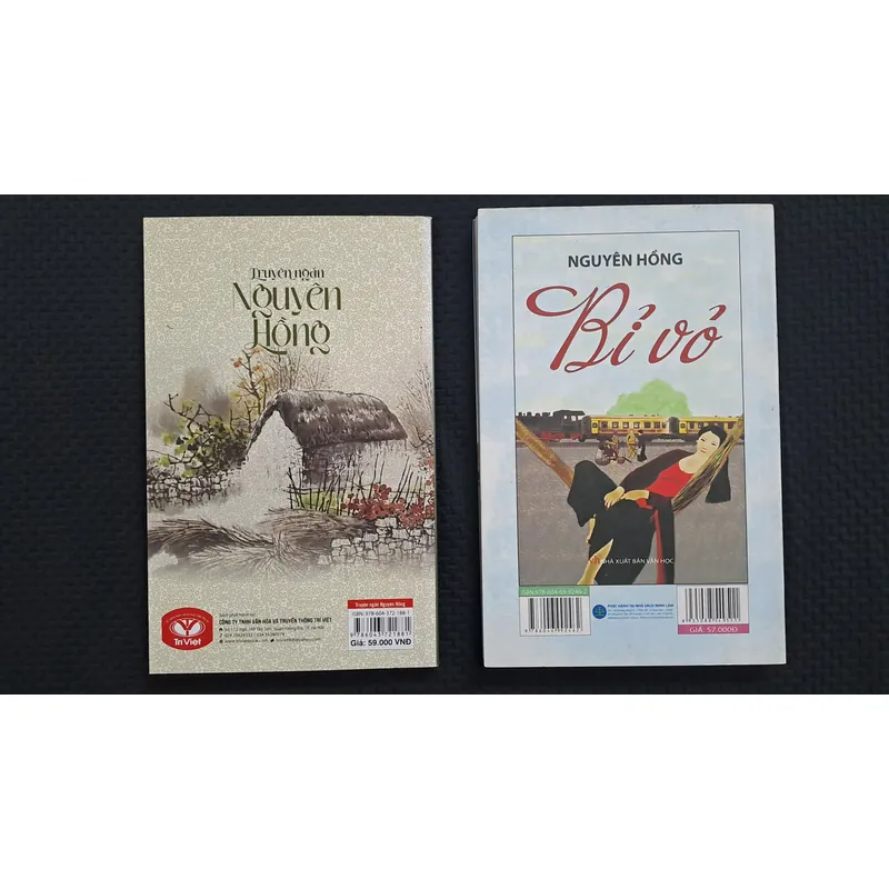 Combo Bỉ Vỏ + Truyện ngắn Nguyên Hồng 674657