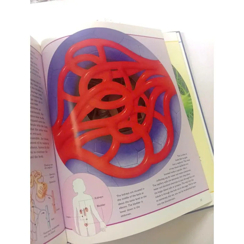 The Incredible Journey Through the Human Body 1002083