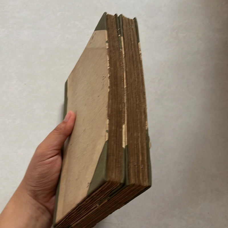 Người tình tuyệt vời (Trọn bộ 2 tập)  Đã đóng bìa — 1988s 498375