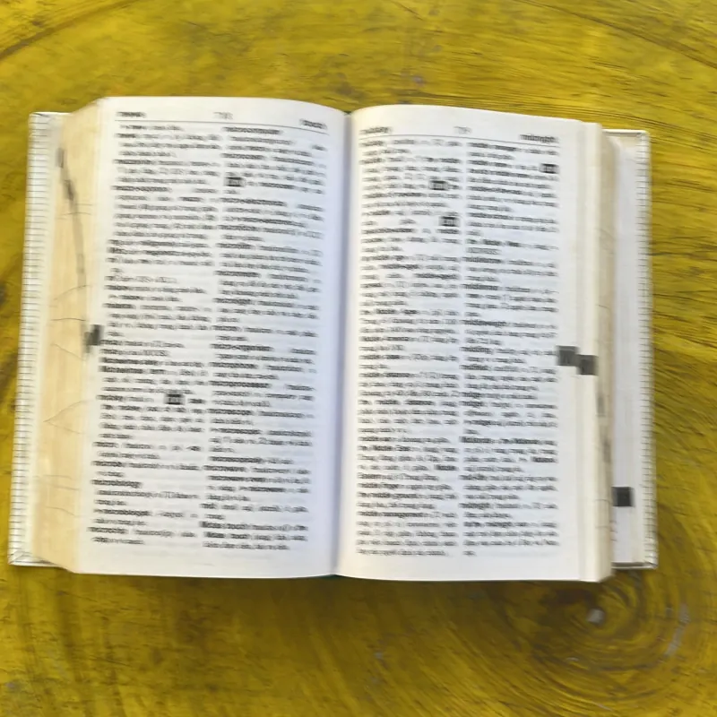 COMBO TỪ ĐIỂN ANH - VIỆT & OXFORD LEARNER’S POCKET DICTIONARY  1002534