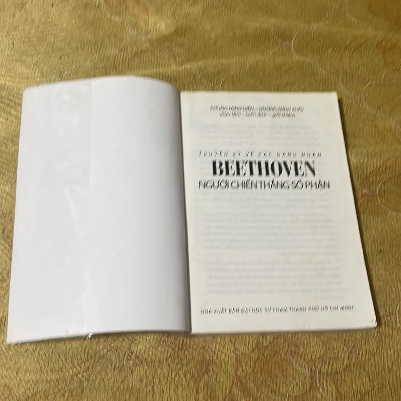 KỲ TÀI ÂM NHẠC BEETHOVEN NGƯỜI CHIẾN THẮNG SỐ PHẬN 747545