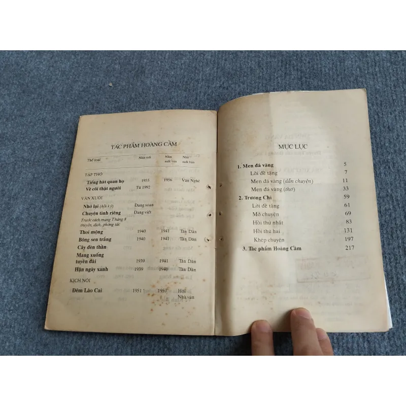 MEN ĐÁ VÀNG - HOÀNG CẦM 701915