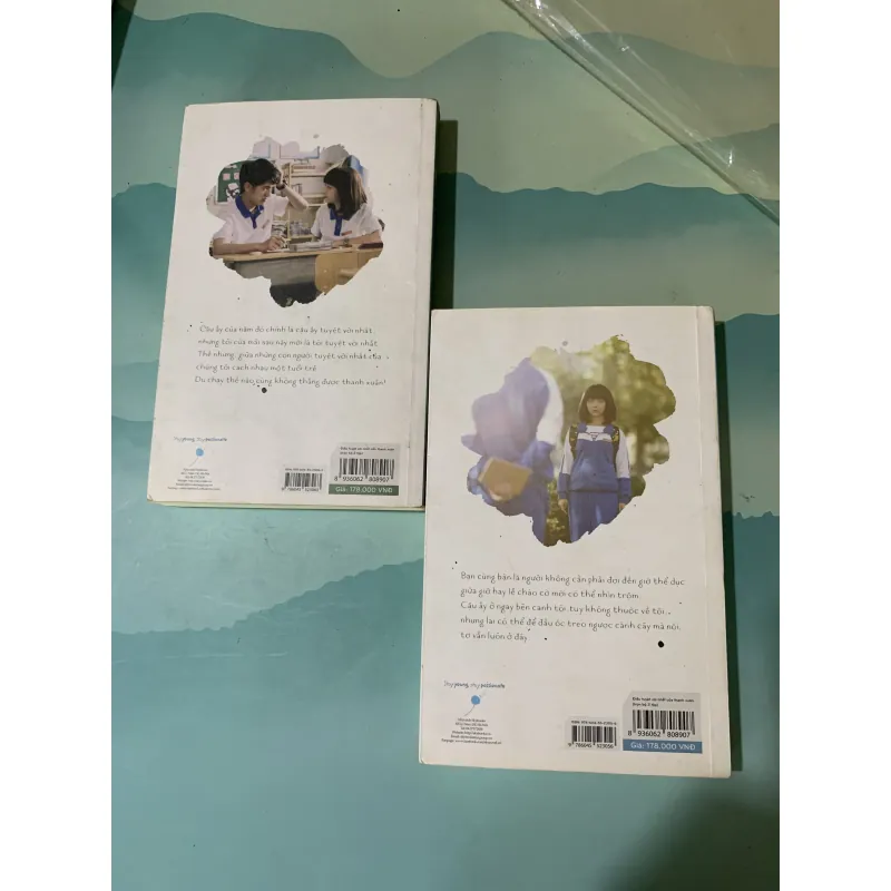 Điều tuyệt vời nhất của thanh xuân (bộ 2 tập) 1017919