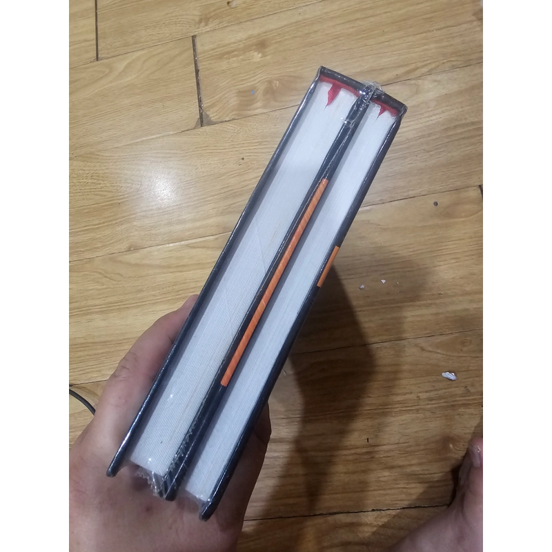 Lê Đại hành Hoàng đế phá tống (trọn bộ 2q bìa cứng)
100k 494213