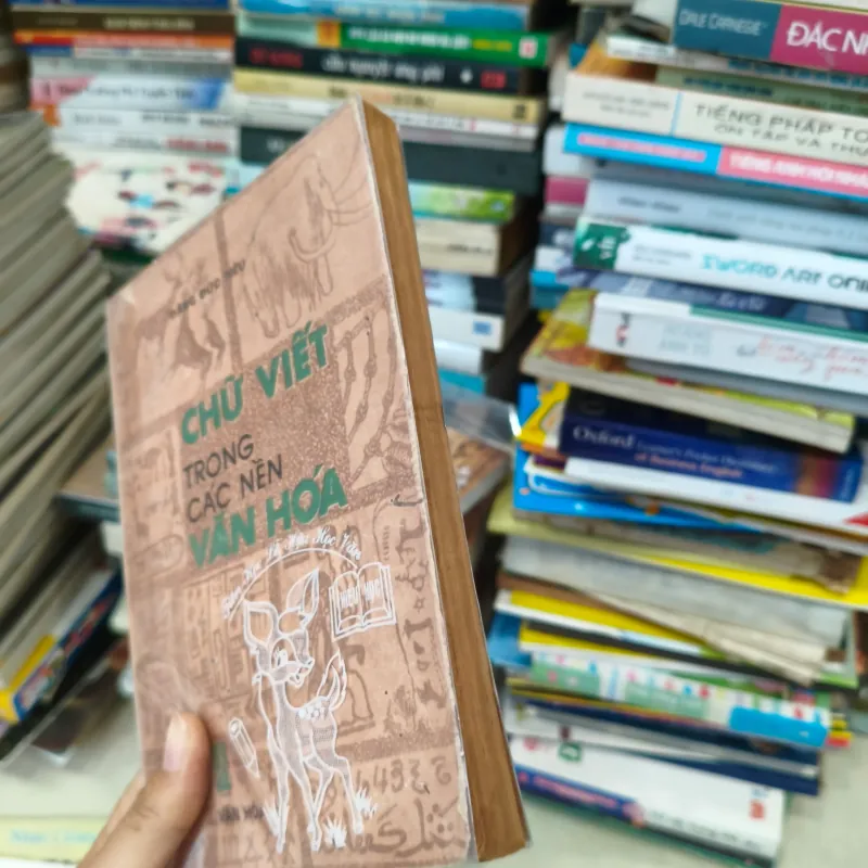 Chữ viết trong các nền văn hóa 🌱 759029