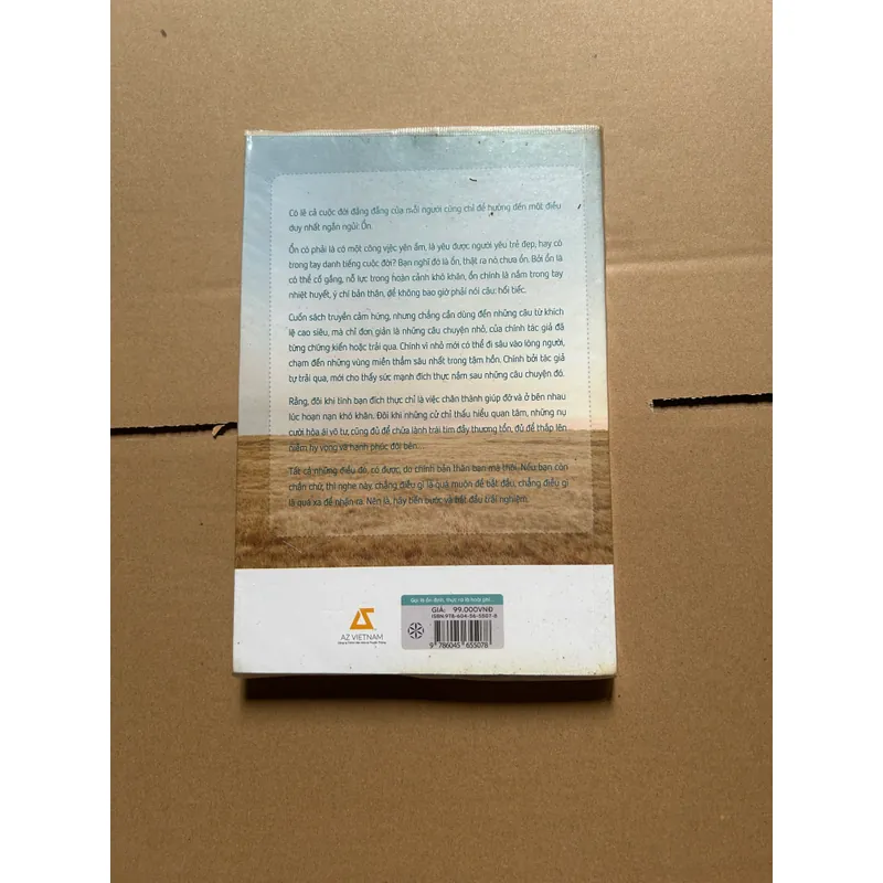 Gọi là ổn định, thật ra là phí hoài cuộc sống 603246