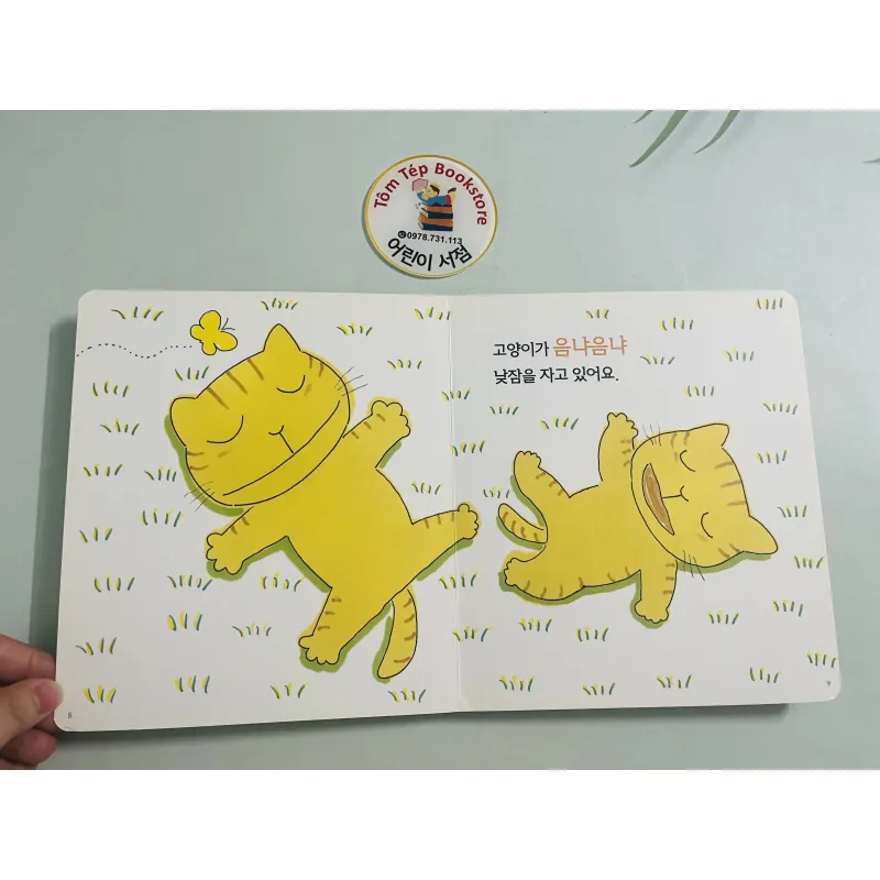 boardbook 푸름이 까꿍 그림책- Ehon mã X9 1009191