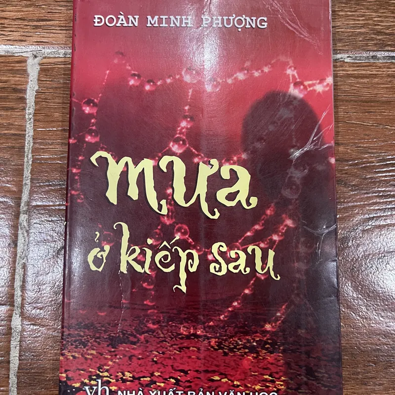 Mưa ở kiếp sau - Đoàn Minh Phượng (15) 570554