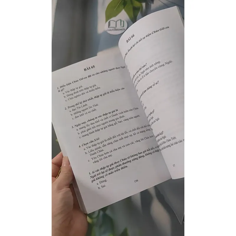 Bài Học Trường Chúa Nhật: Bốn Sách Phúc Âm - Học Viên 3 928515