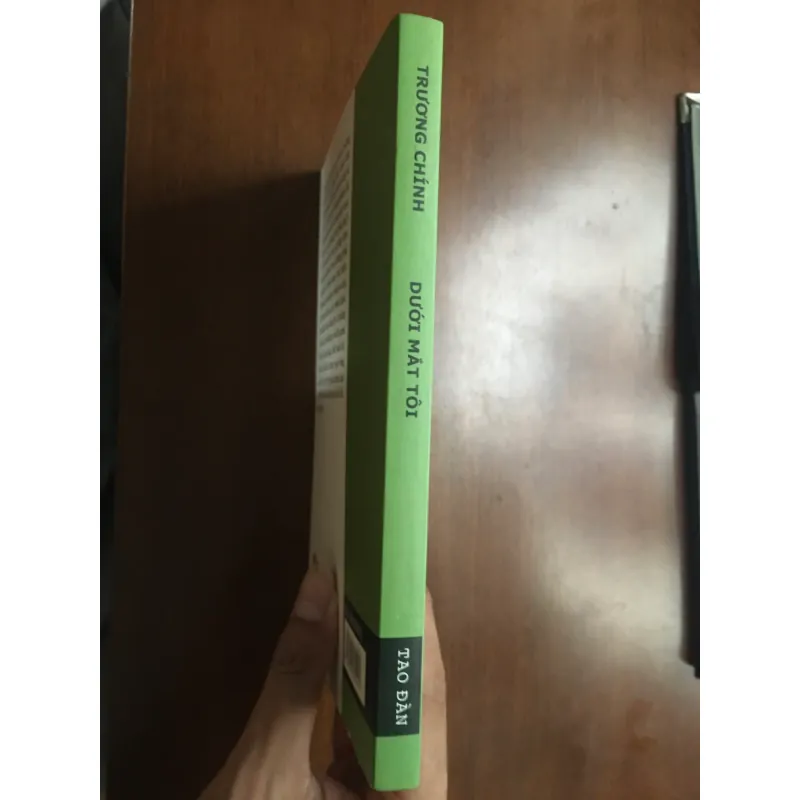 [PHÊ BÌNH] Dưới mắt tôi - Trương Chính 576543