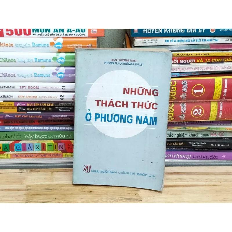 Những thách thức ở phương Nam 594308