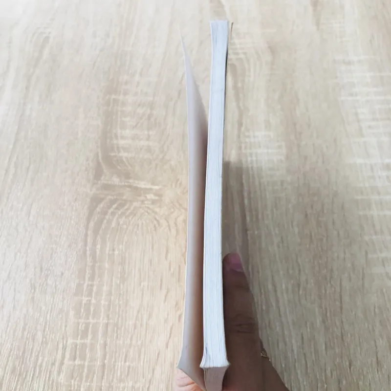 DỊCH LÝ & LỊCH SỬ  990382