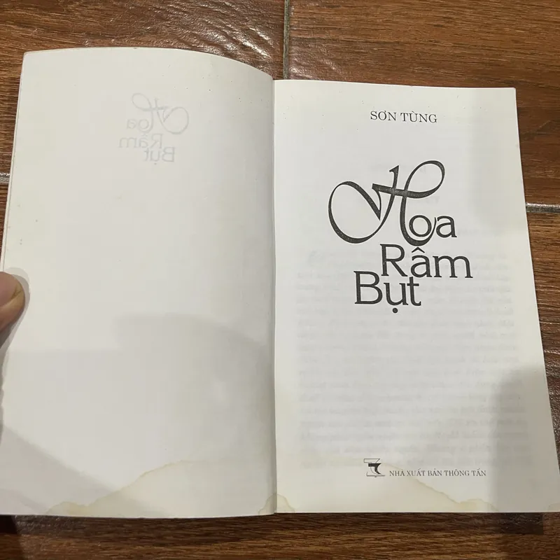 Hoa Râm Bụt - Sơn Tùng (8) 591396