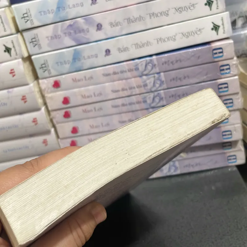 (ngôn tình) - Rất Nhớ Rất Nhớ Anh - Mặc Bảo Phi Bảo 1000561