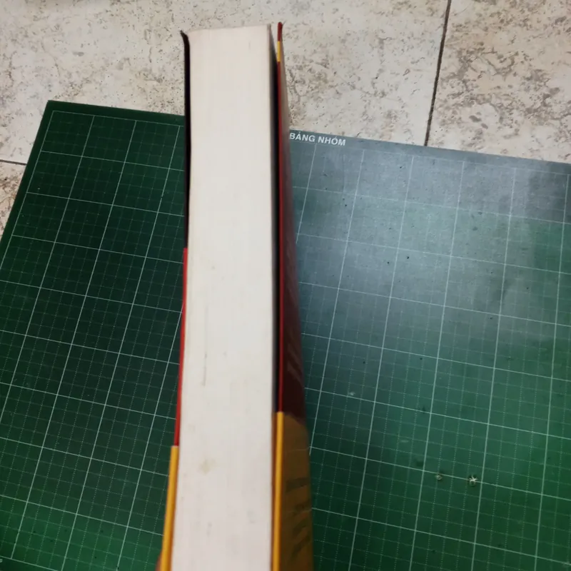 Cô gái đùa với lửa - Stieg Larsson 561693