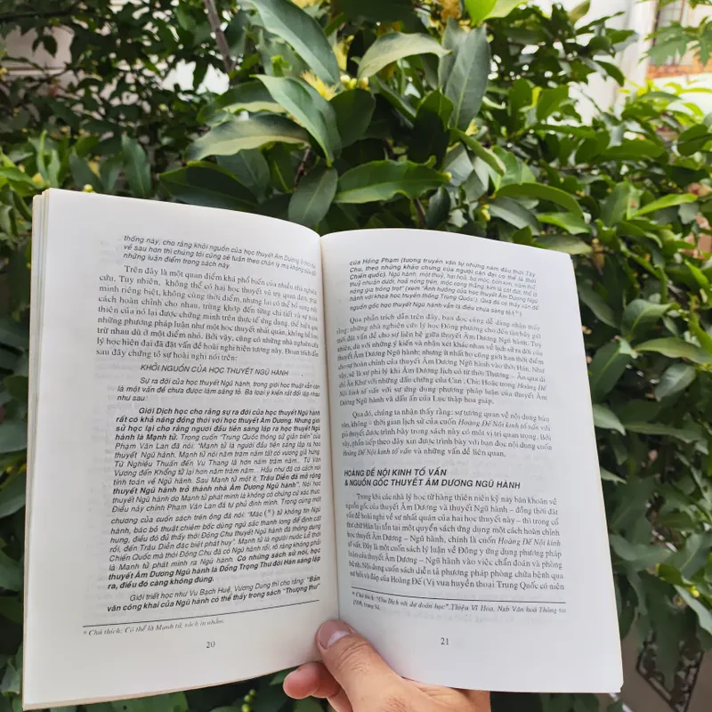 Thời Hùng Vương & Bí Ẩn Lục Thập Hoa Giáp - Nguyễn Vũ Tuấn Anh 722522