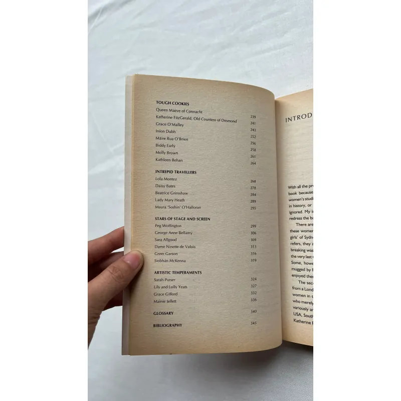 Wild Irish Women - Marian Broderick  784945