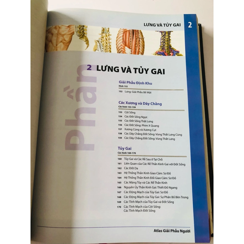 ALAS GIẢI PHẪU NGƯỜI 6 455852