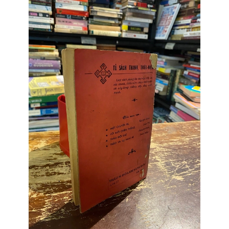 Thảo và đứa em sanh đôi - Lâm Vũ 1001866