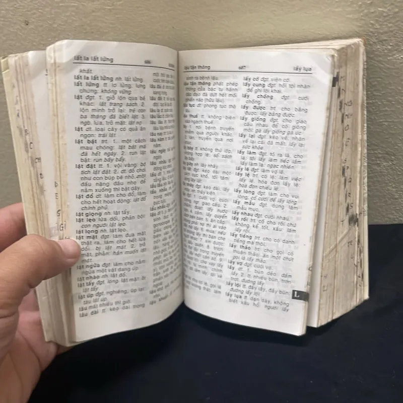 Từ điển tiếng việt 1003871