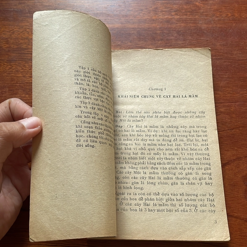 II Sách Xưa: Hỏi Đáp Về Thực Vật (Tập 4, 5) - Vũ Văn Chuyên - 1977, 1978 504397