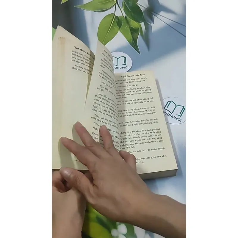 Bích Tiêu Cửu Trùng Xuân Ý Vũ 2 694960