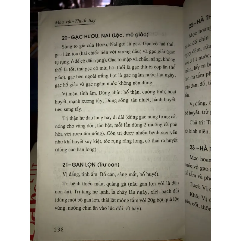 Mẹo vặt - Thuốc hay - Như Hoa 762735