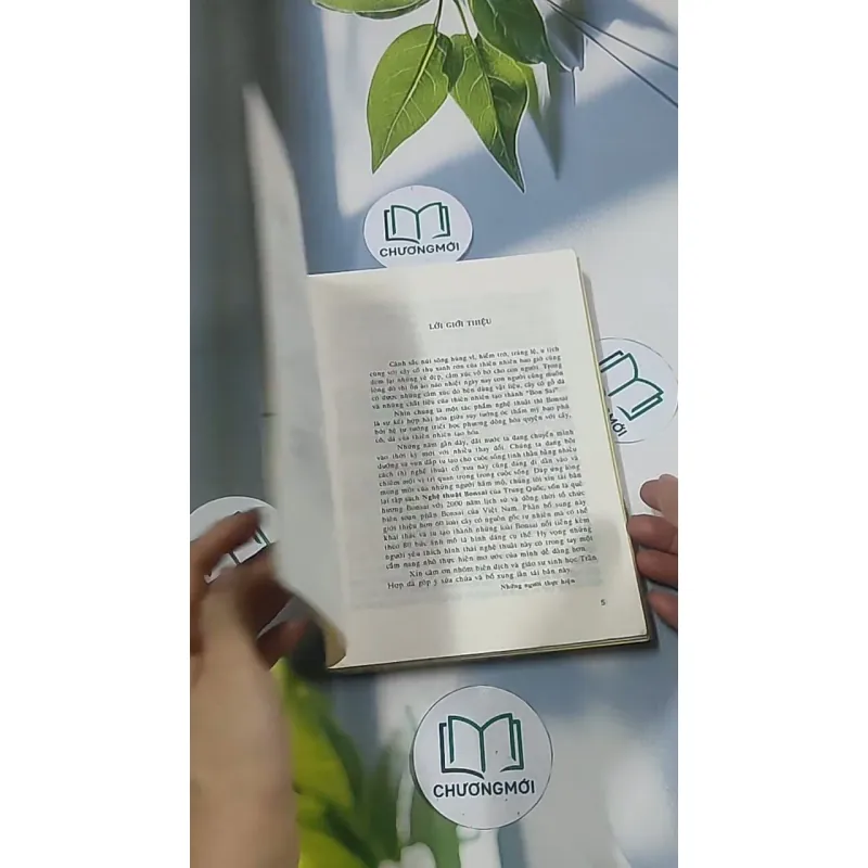 Bonsai: Cây dáng, thế và non bộ - Đỗ Hiệp 694948