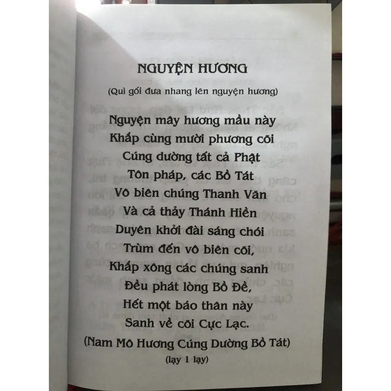 Phật thuyết đại thừa vô lượng thọ trang nghiêm thanh tịnh bình đẳng giác kinh  1009767