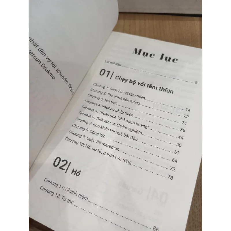 Thiền trong chuyển động - Sakyong Mipham 607369