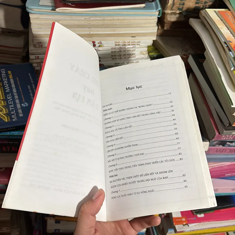 II Sách Kỹ Năng: Bùng Cháy Hay Tàn Lụi - MICHAEL LEE STALLARD - 2008 779231