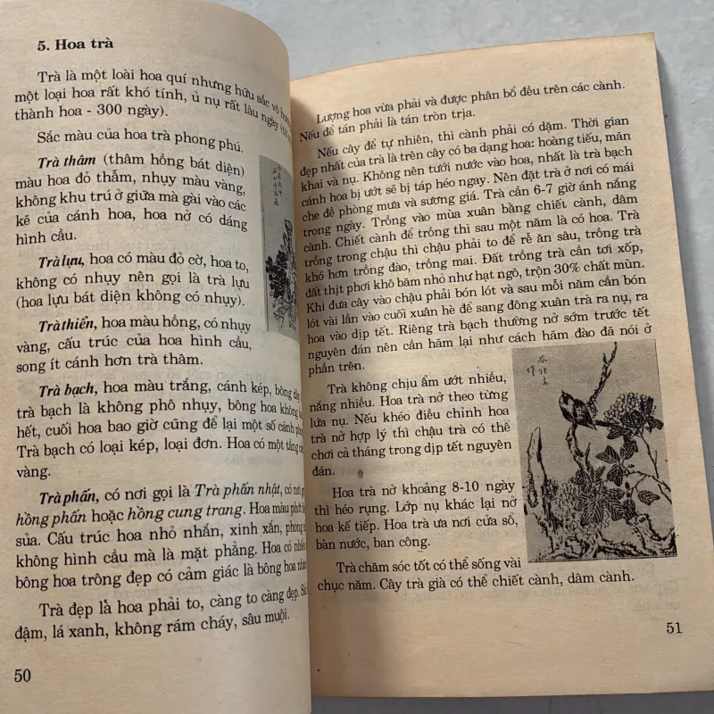 Thú chơi hoa cảnh non bộ xưa và nay - Phạm Kế - 1994s 800626
