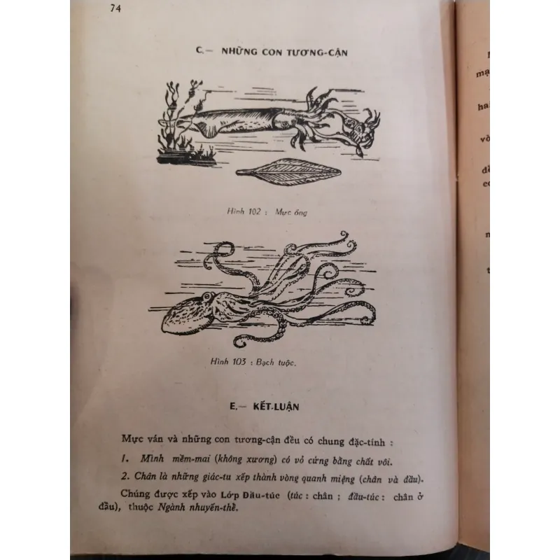 VẠN VẬT HỌC - NGUYỄN LẬP THỎA, LÊ DUY NGHIỆP 997629