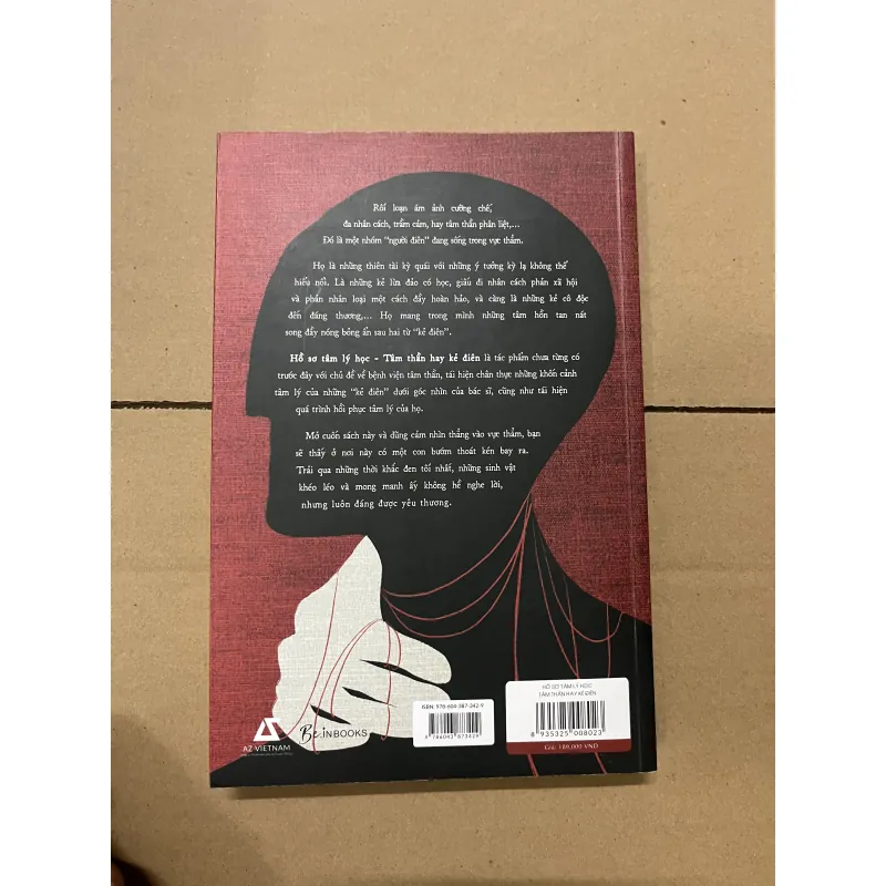 Hồ sơ tâm lý học Tâm thần hay Kẻ điên 1019567