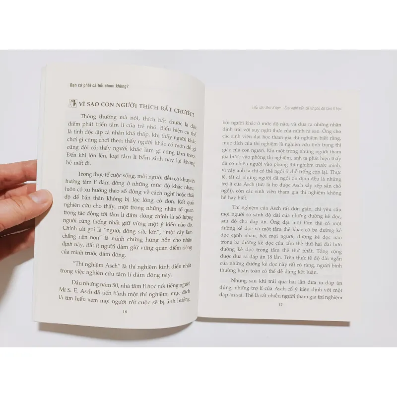 Bạn Có Phải Cá Hồi Chum Không? 780082