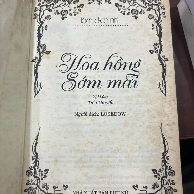 HOA HỒNG SỚM MAI - LÂM ĐỊCH NHI 1010267