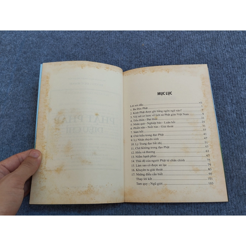 PHẬT PHÁP DIỆU CHỈ 485309