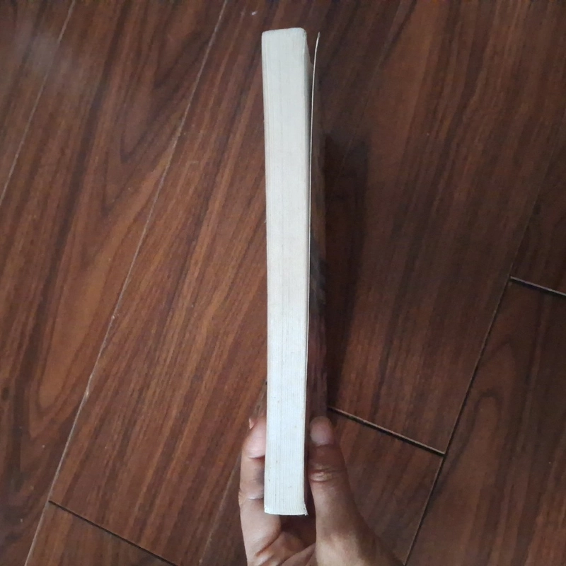 Vũ điệuvowis người khổng lồ - trung quốc, ấn độ và nền kinh tế toàn cầu 551475