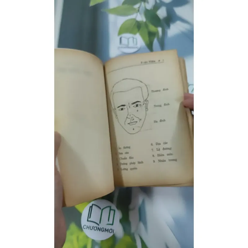 Tìm Hiểu Nhân Tướng Học - Trúc Viên 776043