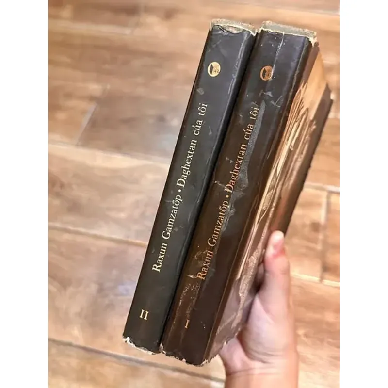 Daghextan của tôi – Raxun Gamzatốp (Trọn bộ 2 tập) 730941