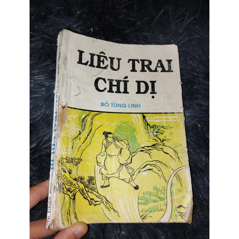 LIÊU TRAI CHÍ DỊ  386596