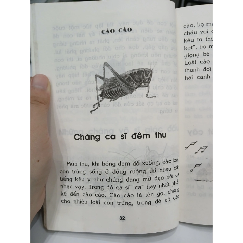 Côn Trùng – Chuyện Kể Khoa Học Cho Học Sinh Tiểu Học 549654