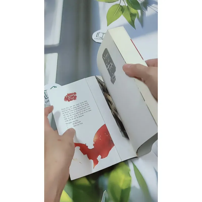 Nam Cực Tinh - Phong Duy 744707